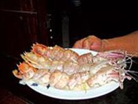 Hình bài viết Về Cà Mau ăn tôm tít