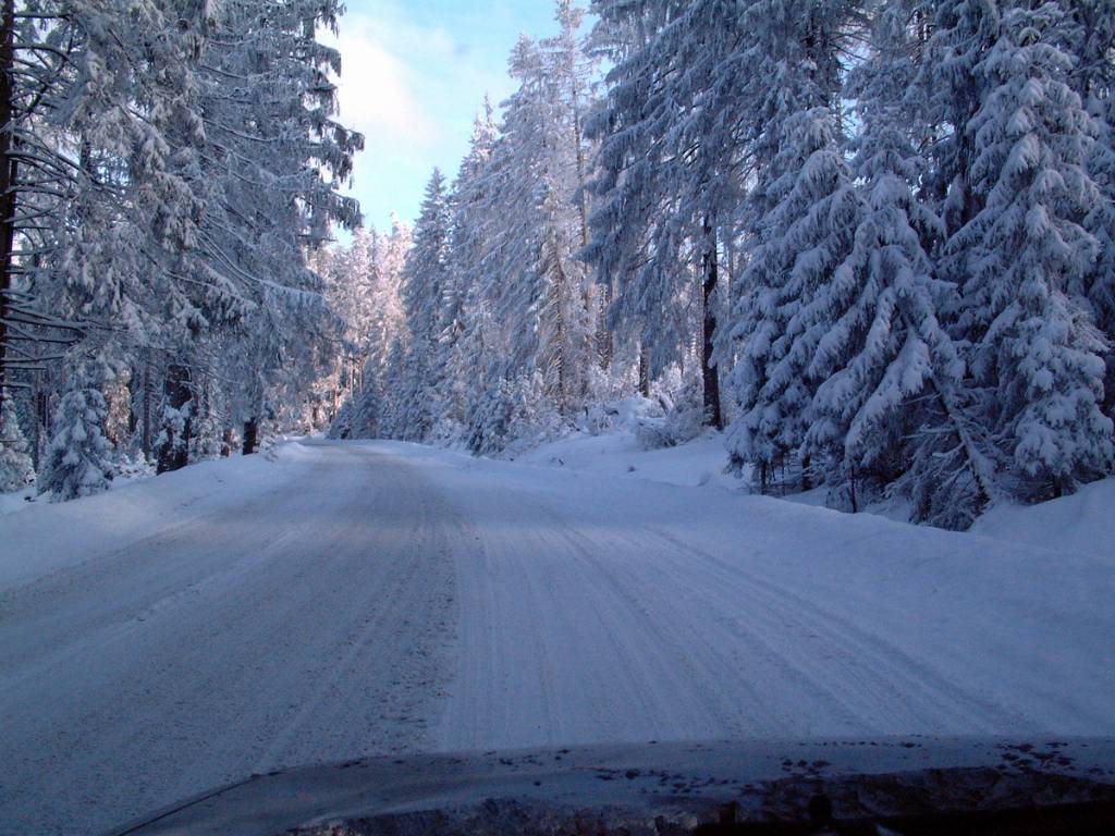 Hình ảnh Natur-Zakopane-1115 - Zakopane