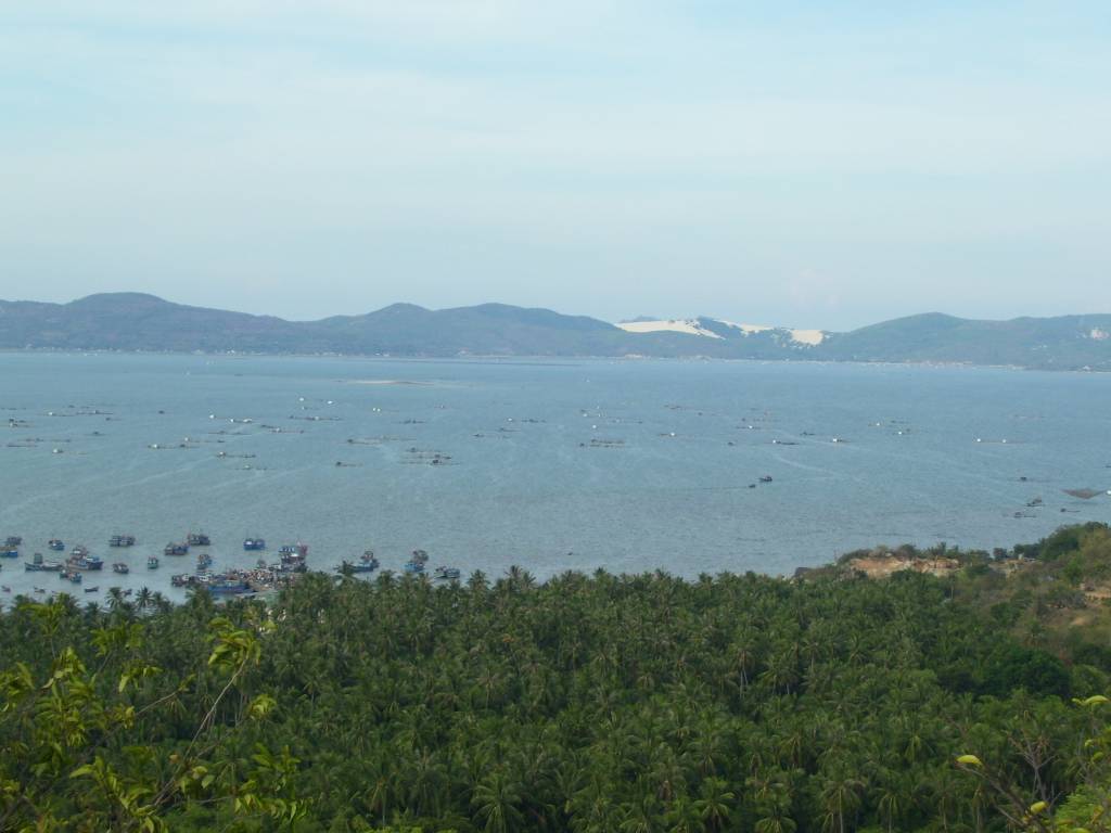 Hình ảnh 100_1049 - Phú Yên