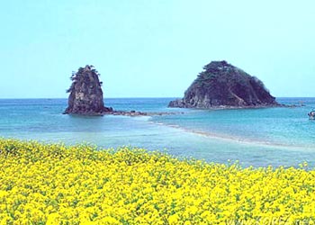 Hình bài viết Thăm đảo Jeju không cần visa