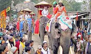 Hình bài viết Ngày hội voi ở Ấn Độ