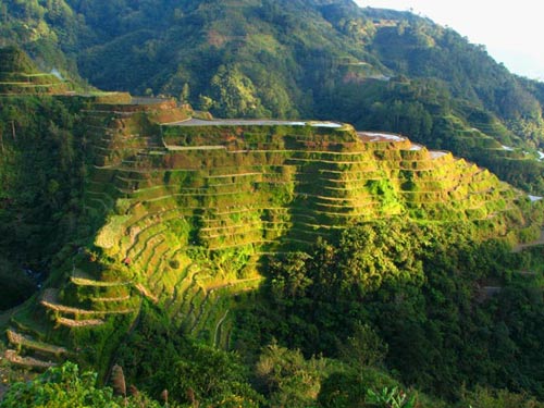 Hình bài viết Ngắm vẻ đẹp ruộng bậc thang Philippines