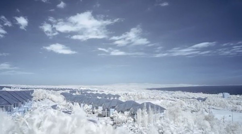 Hình bài viết Ngắm "mùa đông băng giá" ở Mũi Né