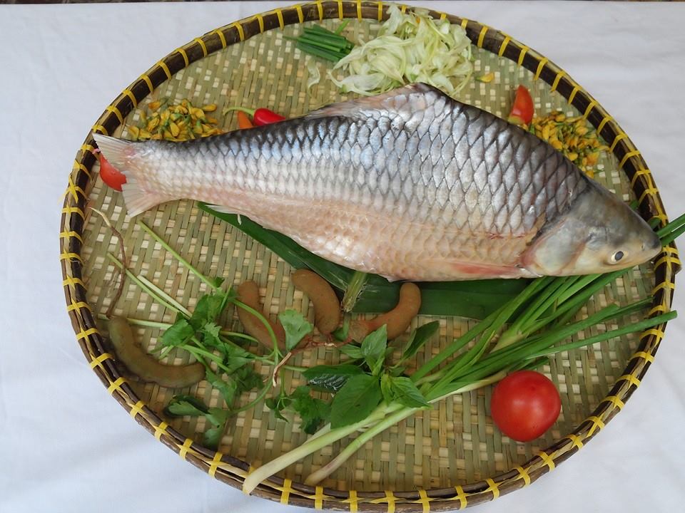 Hình bài viết Thưởng thức món “cá cóc” ở Vĩnh Long.