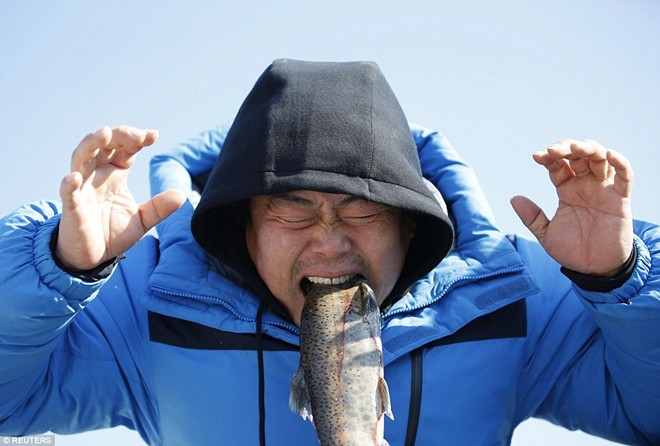 Hình bài viết Lễ hội câu cá bằng miệng độc đáo ở Hàn Quốc
