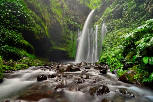 Hình bài viết Những thác nước đẹp nhất Việt Nam
