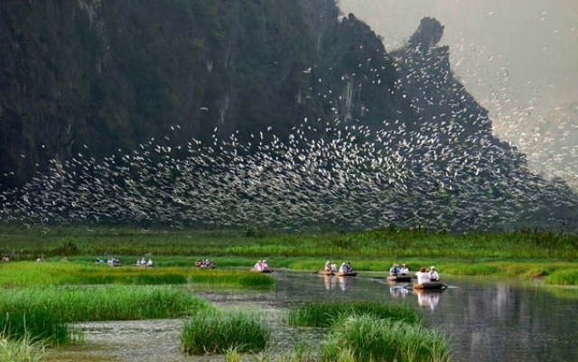 Hình bài viết Phong cảnh hữu tình vùng đất ngập nước Vân Long-Ninh Bình