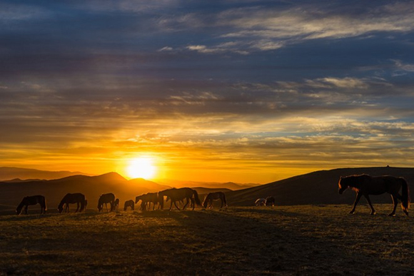 Hình bài viết Những bức ảnh tuyệt đẹp về Mông Cổ