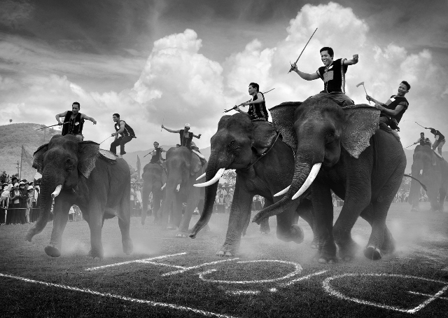 Hình bài viết Lên buôn Đôn xem hội đua voi