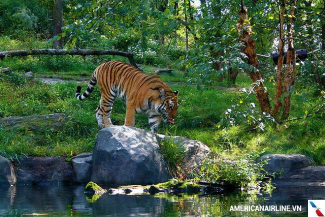 Hình bài viết 10 vườn thú đẹp nhất thế giới