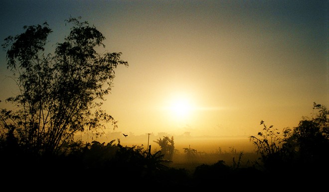 Hình bài viết Ngắm đồng ruộng Việt Nam đẹp dịu dàng trong nắng sớm