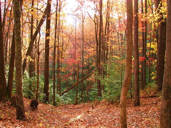 Hình bài viết Những vùng đất có mùa thu đẹp nhất nước Mỹ