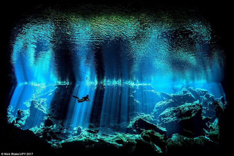 Hình bài viết Đại dương kỳ ảo
