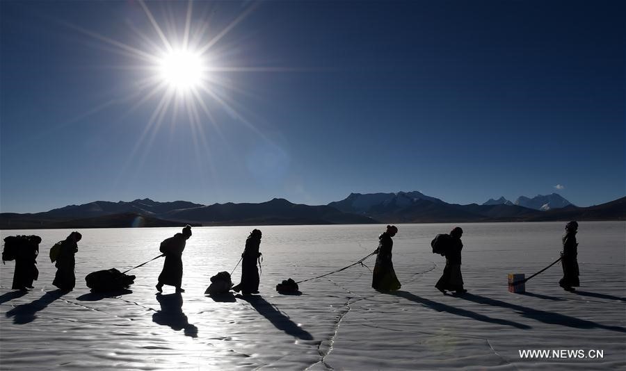 Hình bài viết Hàng nghìn con cừu di cư qua mặt hồ cao nhất thế giới