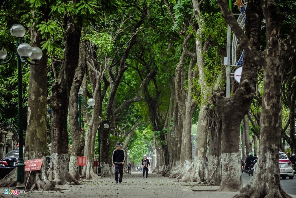 Hình bài viết Những tuyến phố có vỉa hè đẹp ở Hà Nội
