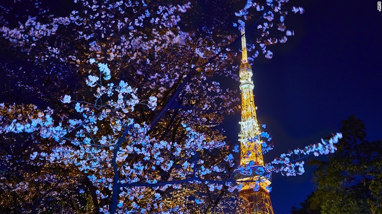 Hình bài viết Những điểm ngắm hoa anh đào đẹp nhất Nhật Bản