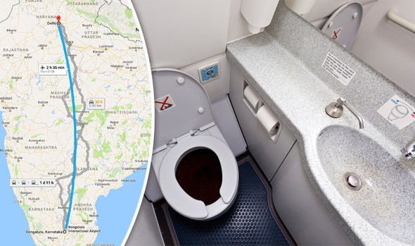 Hình bài viết Máy bay hạ cánh khẩn cấp vì toilet bốc mùi