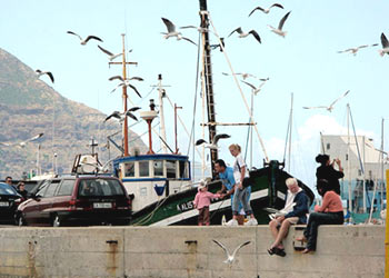 Hình bài viết Cape Town - hải cảng đẹp nhất thế giới