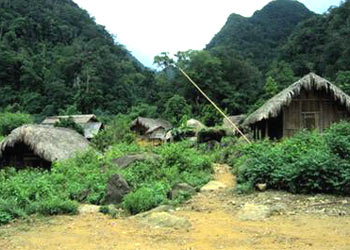 Hình bài viết Khám phá rừng quốc gia Xuân Sơn