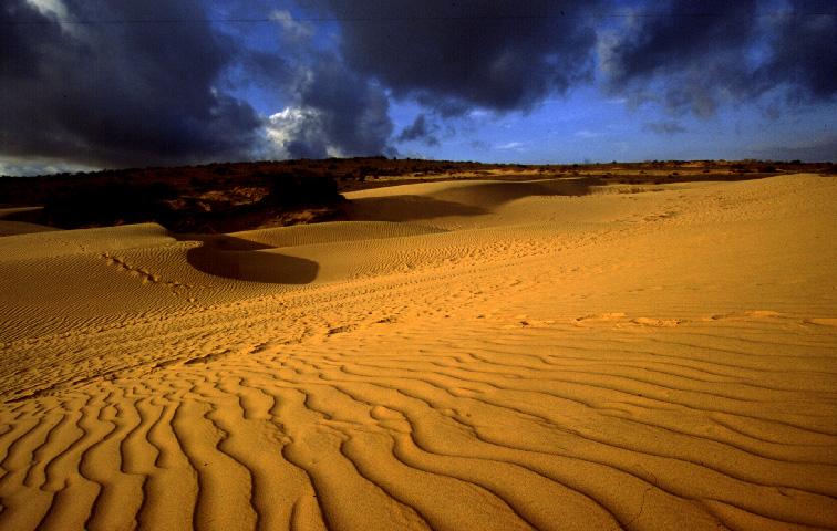 Hình ảnh Đồi cát bay Mũi Né - Mũi Né
