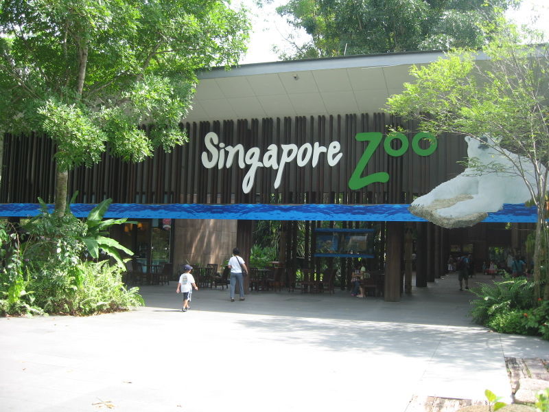 Hình ảnh Singapore Zoo By  Google.jpg - Sở thú Singapore