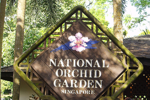 Hình ảnh National Orchid Garden By  Pinky Cat 40