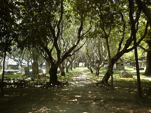 Hình ảnh 2.JPG - Christian Cemetery