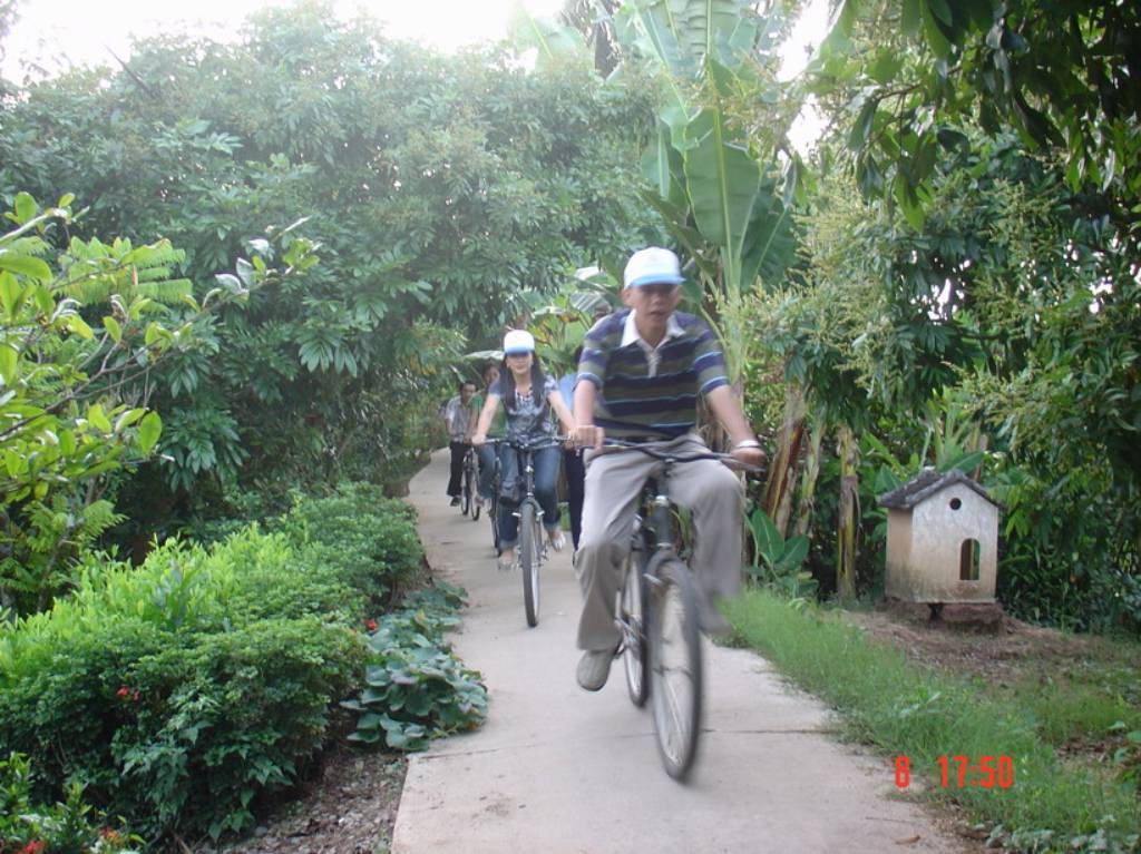 Hình ảnh Đạp xe đạp ở Cù Lao An Bình - Cù lao An Bình