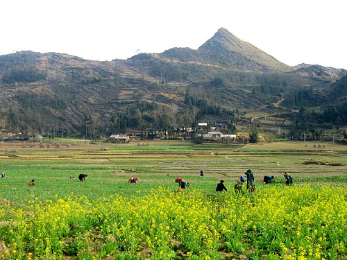 Hình ảnh Lũng Cú - Hà Giang