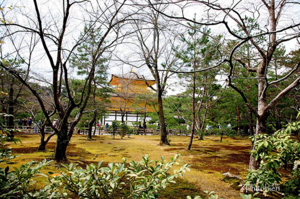 Hình ảnh Khuôn viên sau chùa - Chùa Kinkaku