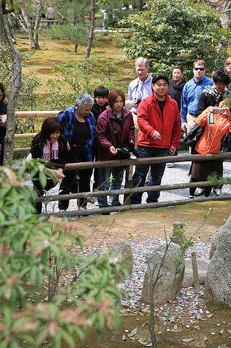 Hình ảnh Hảy tiền cầu may mắn tại chùa Vàng - Chùa Kinkaku