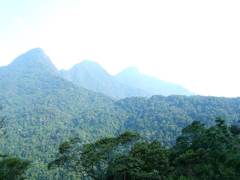 Hình ảnh Vườn quốc gia Tam Đảo - Vĩnh Phúc