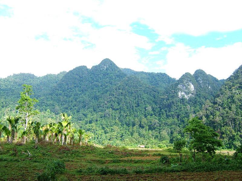 Hình ảnh Vườn quốc gia Xuân Sơn - Vườn quốc gia Xuân Sơn