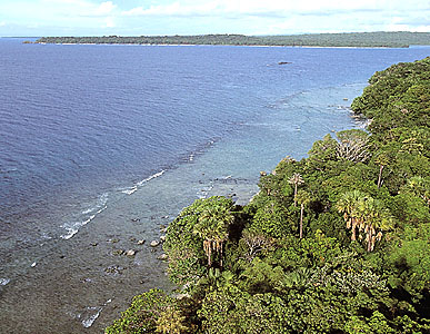Hình ảnh Bờ biễn vườn quốc gia - Vườn quốc gia Ujung Kulon