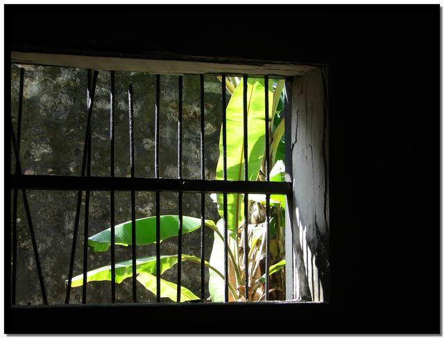 Hình ảnh Nhà tù Côn Đảo 2 - Nhà tù Côn Đảo