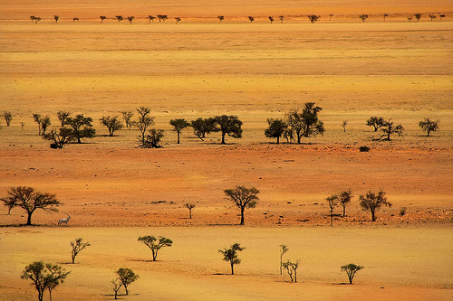 Hình ảnh Namibia 5 - Namibia