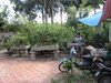 Hình ảnh vanthai3 - Làng vườn Bách Thuận