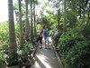 Hình ảnh vanthai8 - Làng vườn Bách Thuận