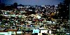 Hình ảnh Ngôi làng nghèo tại Soweto - Soweto