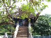 Hình ảnh One Pillar Pagoda 2 - Chùa Một Cột