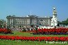 Hình ảnh Cung điện Buckingham xinh đẹp - Điện Buckingham