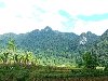 Hình ảnh Vườn quốc gia Xuân Sơn - Phú Thọ